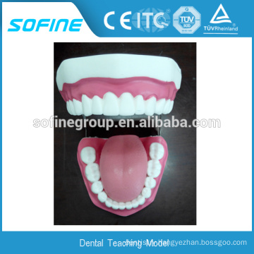 New Style Medical Dental Care Model